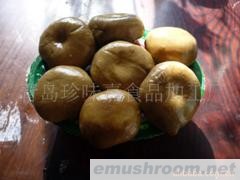 供应盐渍蘑菇