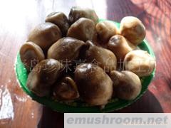 供应盐渍蘑菇