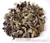 供应Manbetx体育手机版V17版本发布.官网安卓网.香港