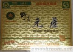 供应金卡压缩元蘑菇