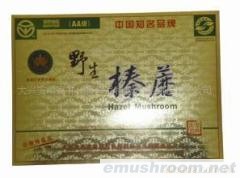 供应金卡压缩榛蘑菇