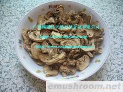 深圳蘑菇干批发厂商,蘑菇干生产厂商,脱水蘑菇(图)