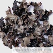大量供应毛木耳