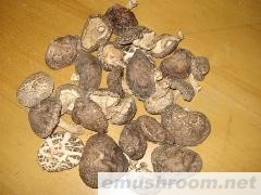 供应干香菇