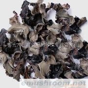 大量供应毛木耳