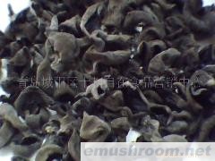 批发木耳