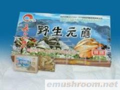 供应元蘑