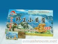 供应小黄蘑