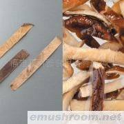 供应切丝干香菇