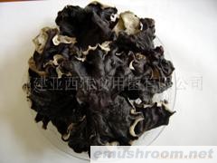 供应干黑木耳