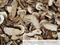 批发野生菌 （美味牛肝菌 ）干片  速冻  盐积