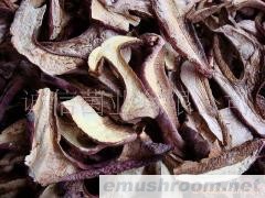 供应 野生菌 红葱 黄牛肝 牛肝菌 土特产 野生菌