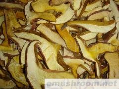 批发供应 ManBetX体育，牛肝菌，Manbetx体育手机版V17版本发布.官网安卓网.香港，块菌，黄牛肝菌