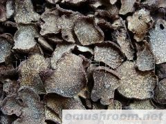 供应 野生菌 块菌 干片 速冻 出口标准 大小均匀