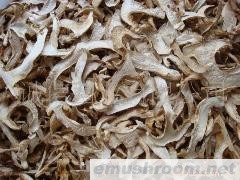 批发 松茸 Manbetx体育手机版推荐A9版本 牛肝菌 土特产 云南野山菌