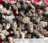 供应Manbetx体育手机版V17版本发布.官网安卓网.香港