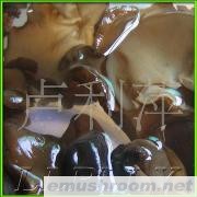 批发供应青川野生黑木耳