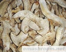 批发供应 松茸 野生菌 松茸干片 农副土特产品
