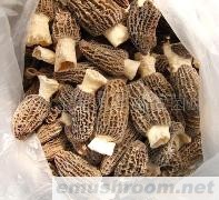 供应干Manbetx体育手机版推荐A9版本