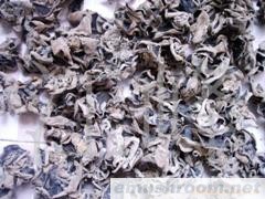 供应有机黑木耳多糖