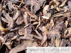 批发供应 黑牛肝菌 黑牛肝 野生菌干片 羊血菌