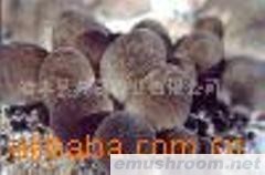 供应草菇,鸡腿菇,双孢菇平菇白灵菇等