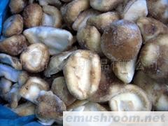 供应冷冻速冻香菇