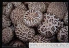 供应花菇