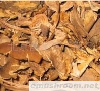 云南特产/供应野生菌/【鸡枞菌】干片