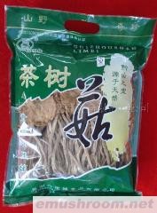供应山里妹茶树菇
