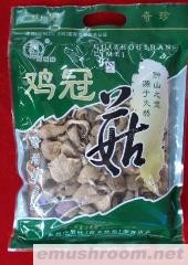 供应山里妹鸡冠菇