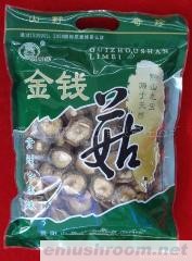 供应山里妹金钱菇