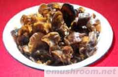 供应(亚特牌)野生木耳,猴头菌 ,元蘑,榛蘑压缩块