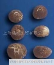 供应秀珍花菇/香菇