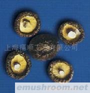 供应光面花菇/香菇三级