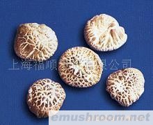 供应出口级花菇--茶花二级