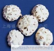供应出口级花菇/香菇--天白花特级