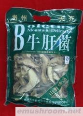 供应B牛肝菌
