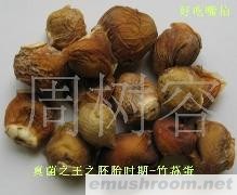 批发供应竹荪蛋　干品