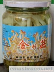 批发供应调味金针菇罐头