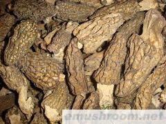 供应羊 ManBetX体育干品，Manbetx体育手机版V17版本发布.官网安卓网.香港，土特产