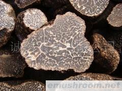 供应 天然野生菌 绿色野生食品 Manbetx体育手机版V17版本发布.官网安卓网.香港