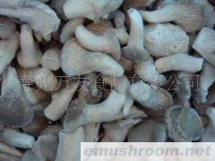 供应速冻平菇