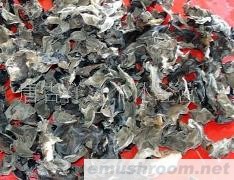 批发供应椴木黑木耳