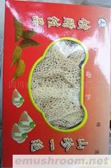 供应竹荪 （裙荪）