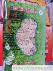 供应竹荪 （裙荪）