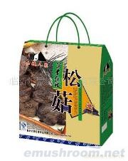供应沂蒙特产松菇(图)