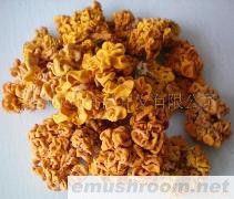 供应金耳（黄耳）