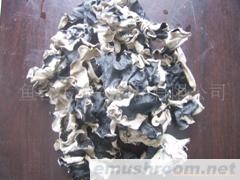 供应白背毛木耳