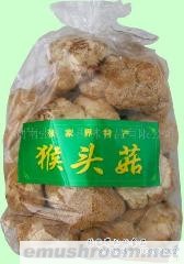 供应批发张家界特产 野山珍系列 猴头菇
